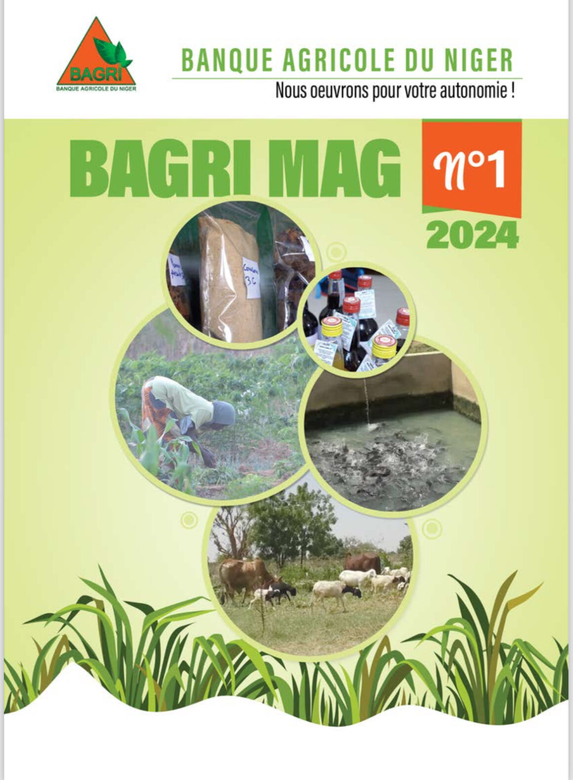 Bulletin BAGRIMAG N1