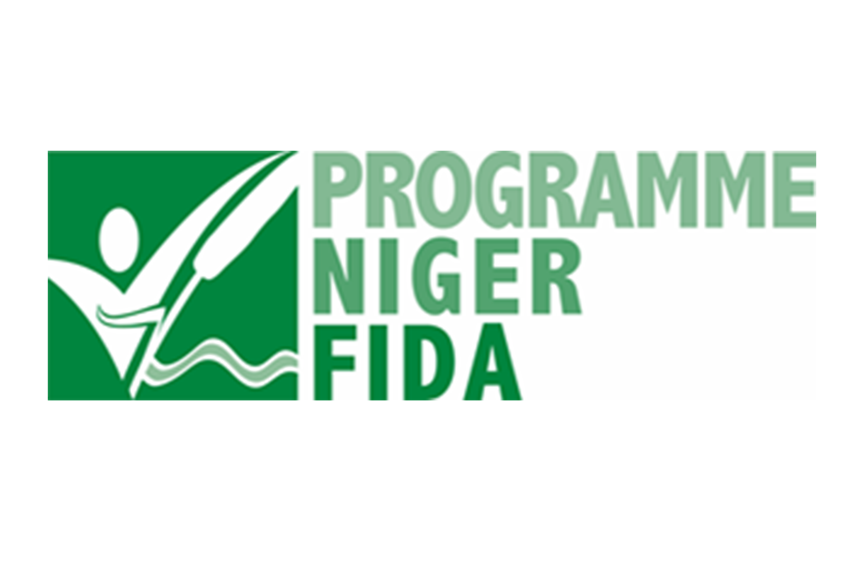 Logo du Programme Niger FIDA