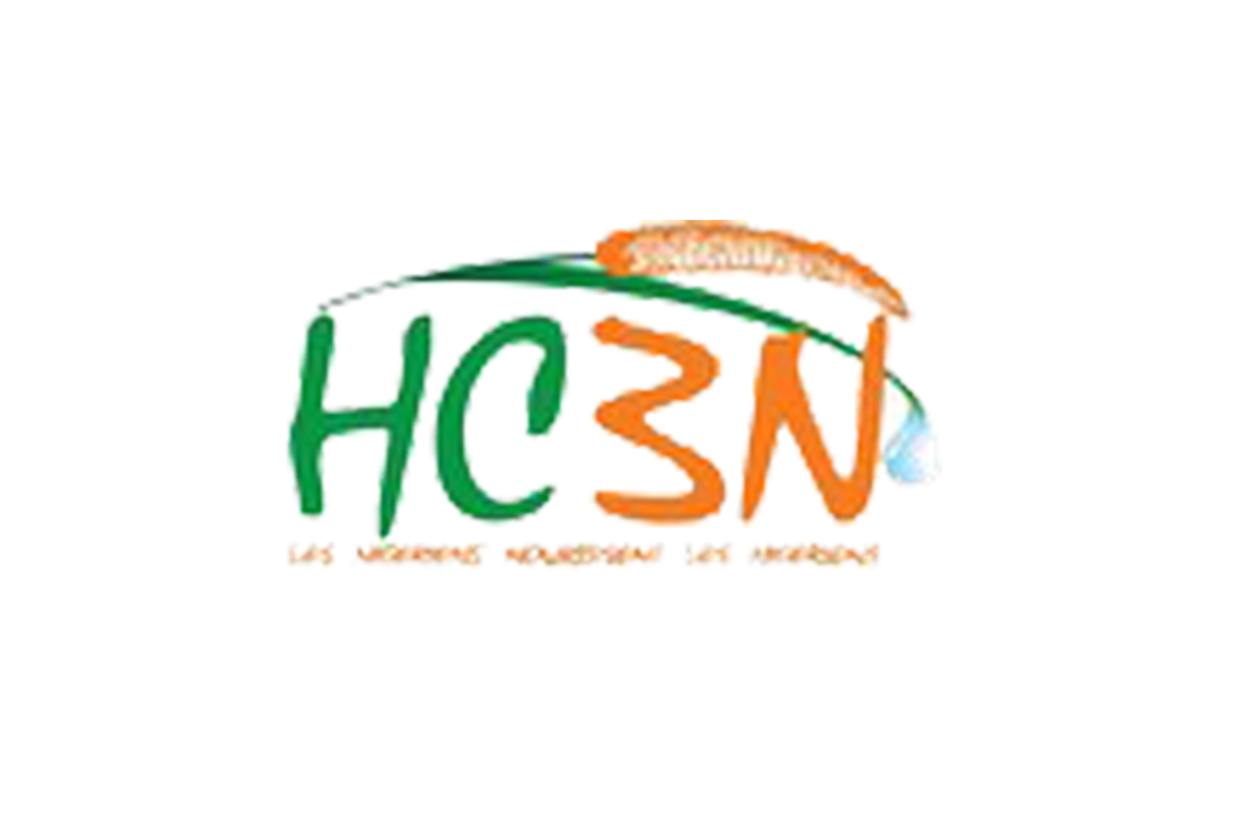 Logo du HC3N, initiative « Les Nigériens nourrissent les Nigériens »
