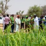 Délégation de la BAGRI visitant une rizière lors de la visite à Damana